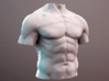 Anatomy torso sculpture 3d printed 