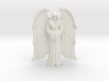 Winged Imperial Saint 3d printed 
