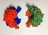 You will need 4 protein chains to assemble into a  3d printed two dimers