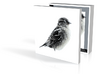 Bird In Snowstorm Box 3in 3d printed 