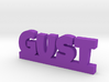 GUST Lucky 3d printed 
