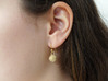 Ragweed Pollen Earrings - Nature Jewelry 3d printed Ragweed pollen earrings in raw brass