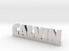 CALVIN Lucky 3d printed 