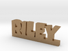 RILEY Lucky 3d printed 