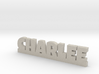 CHARLEE Lucky 3d printed 