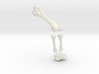 Komodo Left Leg Back 1:5 Scale 3d printed 