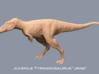 Dinosaur Tyrannosaurus rex Juvenile "Jane" 1:35 v2 3d printed 