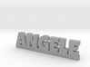 ANGELE Lucky 3d printed 
