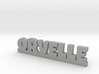 ORVELLE Lucky 3d printed 