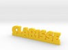 CLARISSE Lucky 3d printed 