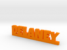 DELANEY Lucky 3d printed 
