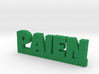 PAIEN Lucky 3d printed 