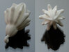 Laurel Charm 3d printed Printed in White Strong & Flexible Polished.