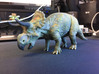 Nasutoceratops middle size (color) 3d printed 