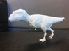Daspletosaurus (Medium/ Large size) 3d printed 