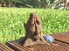 Lonely Old Stump 3d printed 
