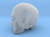 Skull Top scale 1/6 3d printed 
