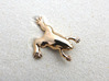 Xenopus Lapel Pin - Science Jewelry 3d printed Xenopus lapel pin in polished bronze
