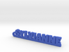 SYLVIANNE Keychain Lucky 3d printed 