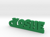 YOSHE Keychain Lucky 3d printed 