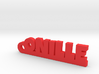 ONILLE Keychain Lucky 3d printed 