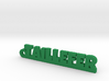 TAILLEFER Keychain Lucky 3d printed 