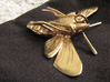 Hummingbird Hawk-Moth Pendant (solid version) 3d printed Pendant printed in Raw Bronze.