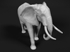 African Bush Elephant 1:9 Walking Male 3d printed 