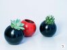 Sfera - planter for succulents and cactuses 3d printed Sfera 'S' sizes
