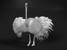 Ostrich 1:64 Wings Spread 3d printed 
