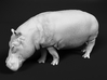 Hippopotamus 1:72 Walking Female 3d printed 