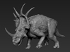 Styracosaurus (Medium / Large size) 3d printed 