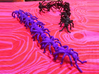 Big Ant Bracelet 3d printed in violet and black