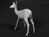 Impala 1:6 Watchful Female While Drinking 3d printed 