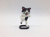 Shota Cat 3d printed 