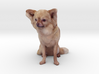Brown Long Haired Chihuahua 001 3d printed 