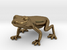 Red Eyed Tree Frog 3d printed 