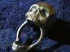 Skull Ring size 11 3d printed Front