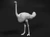 Ostrich 1:87 Standing Calm 3d printed 