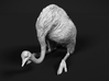 Ostrich 1:87 Guarding the Nest 3d printed 