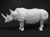 White Rhinoceros 1:6 Walking Male 3d printed 