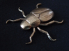 Japanese beetle 3d printed 