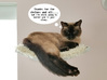 Exponential Cuteness Cat Shelf 3d printed 