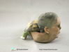 Sen.Mitch McConnell (R-Ky.) Turtle Inaction Figure 3d printed 