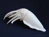 Cuttlefish Statue 3d printed White Strong & Flexible Polished