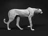 Cheetah 1:12 Walking Female 1 3d printed 