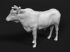 ABBI 1:16 Yearling Bull 1 3d printed 