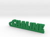 CHALINE_keychain_Lucky 3d printed 