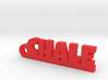 CHALE_keychain_Lucky 3d printed 