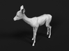 Impala 1:6 Standing Fawn 3d printed 